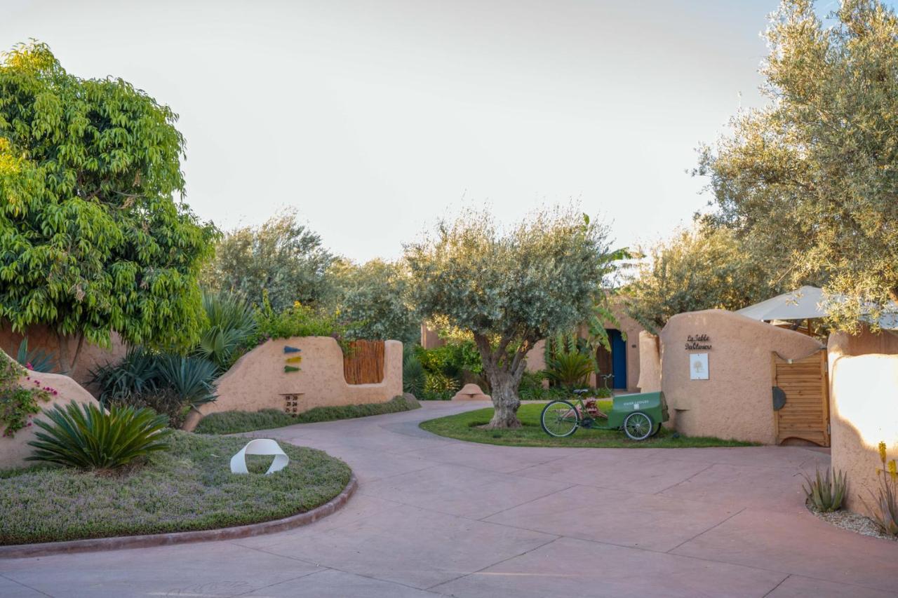 Oasis Lodges El Makina Eksteriør billede