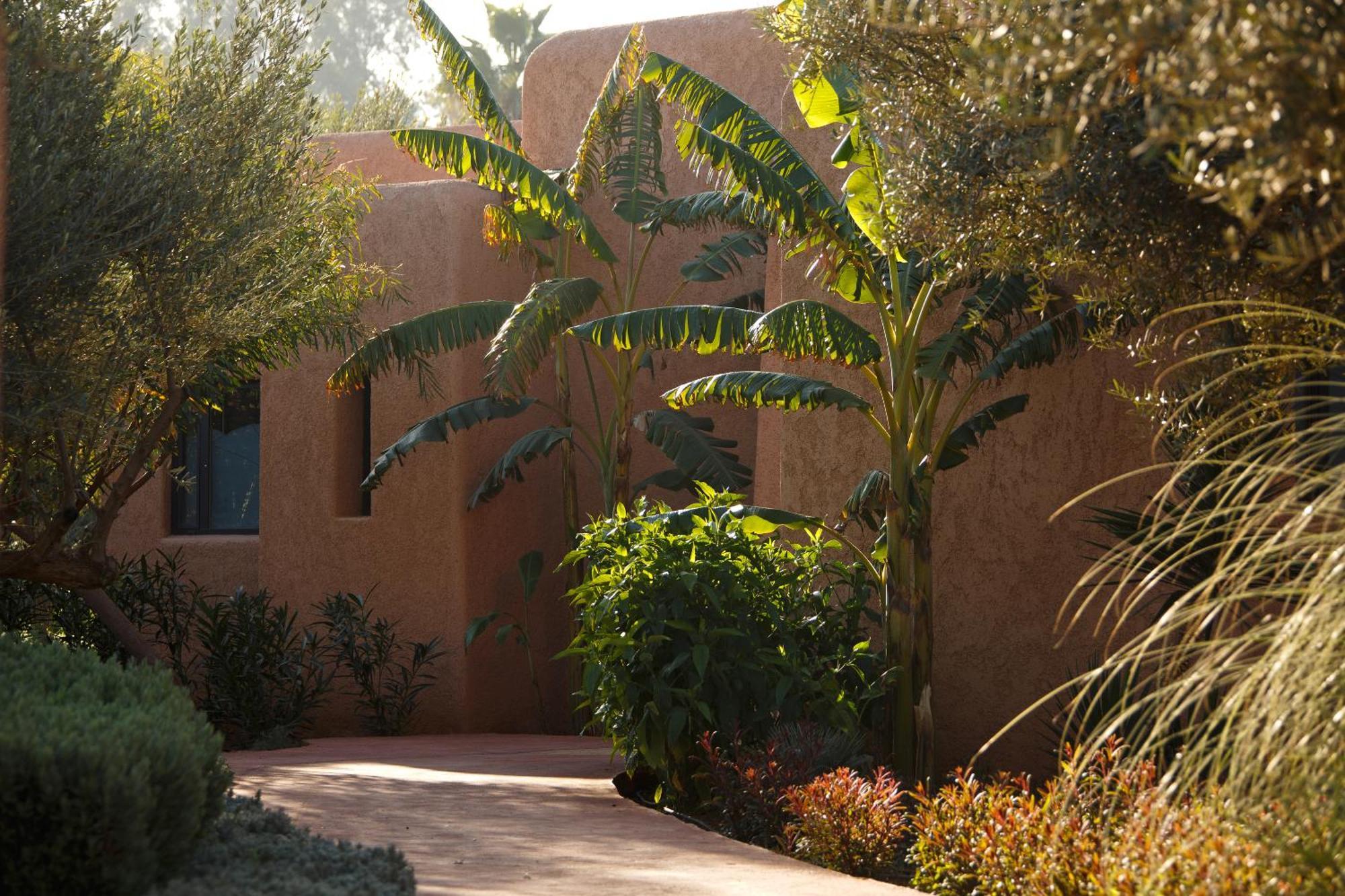 Oasis Lodges El Makina Eksteriør billede